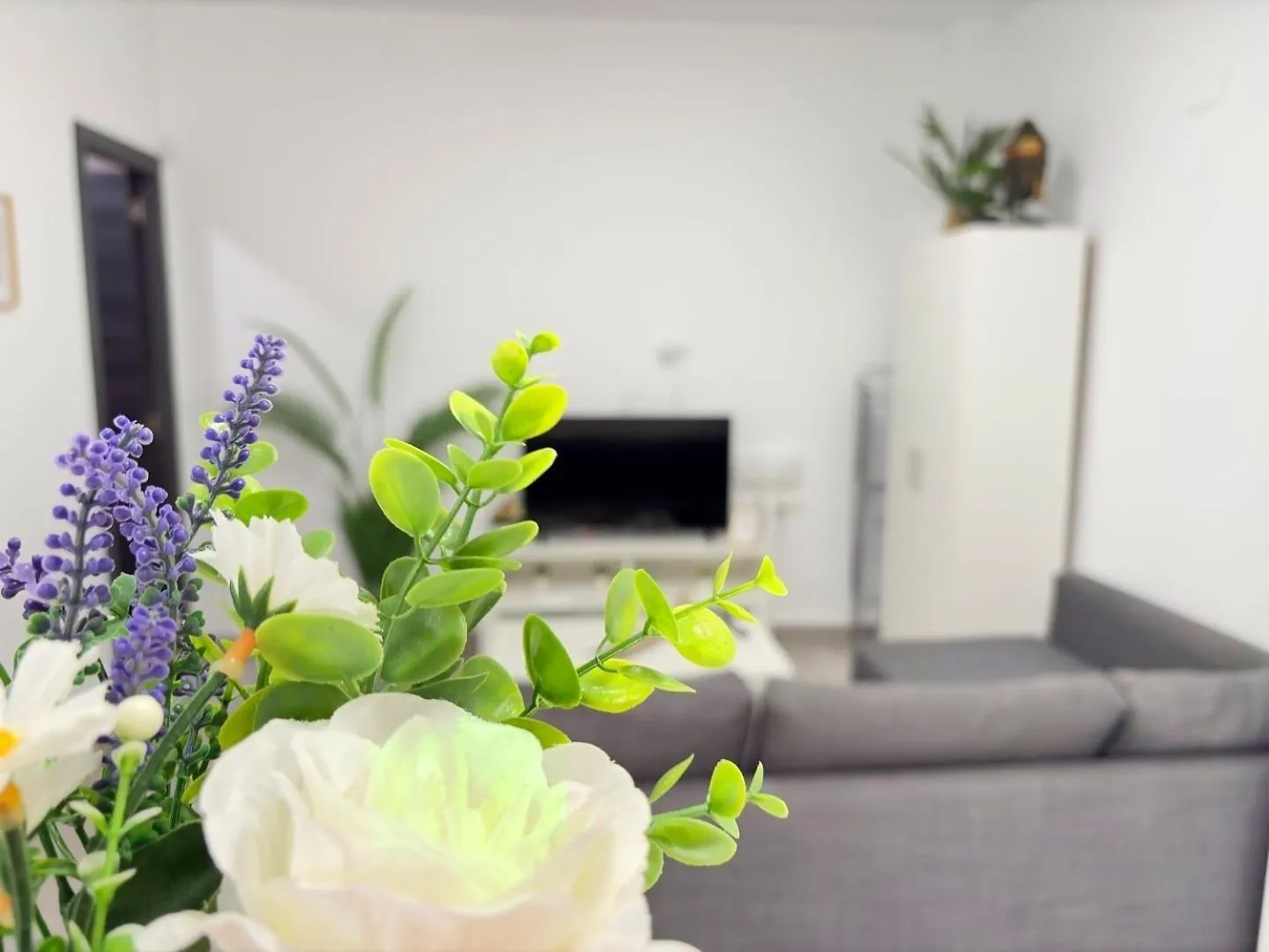 Apartamento La Paloma A Apartamento En Malaga